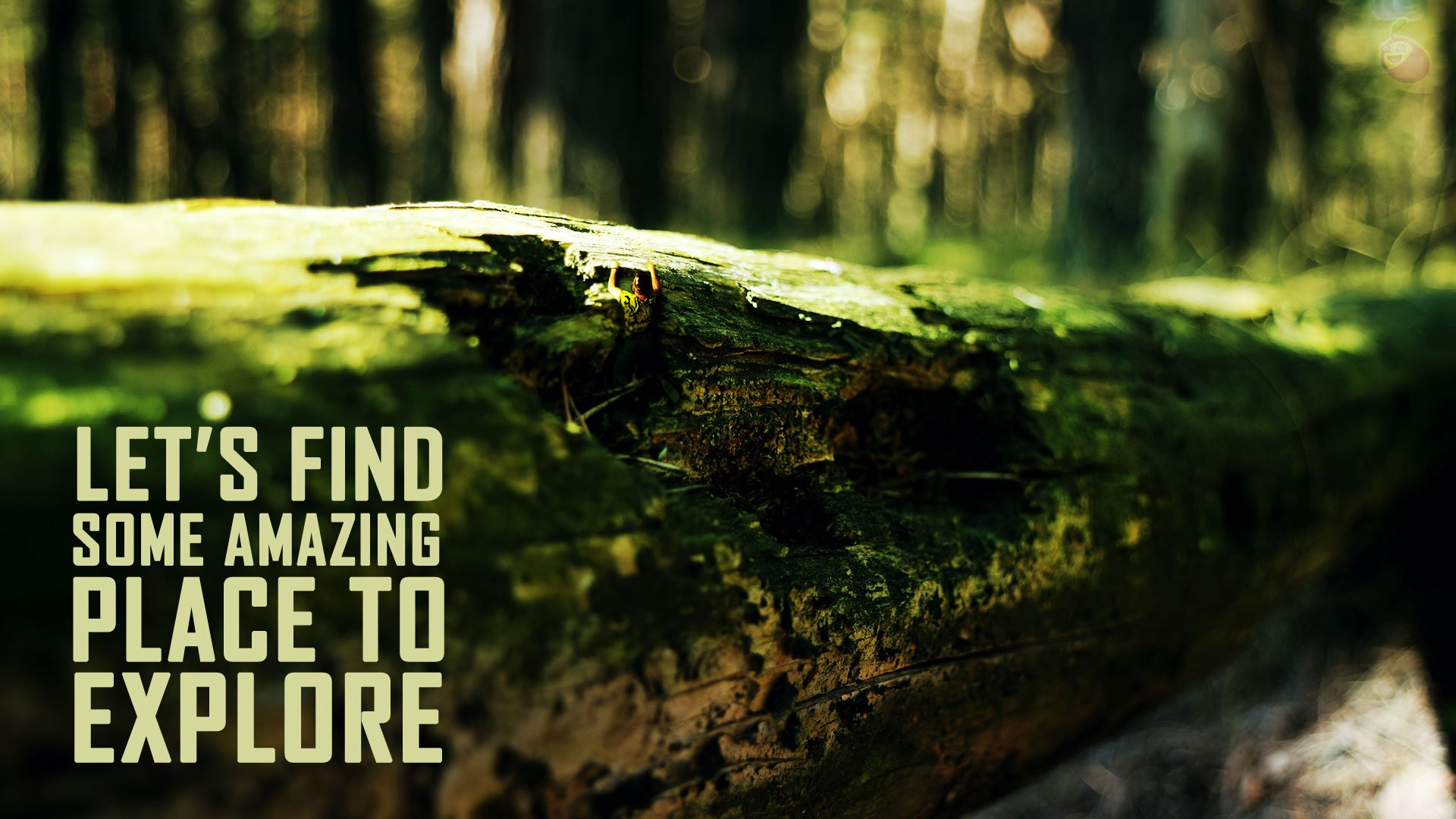 Let's find some amazing place to explore. Motivational Quote Man-in-the-foret-hanging-on-a-gigantic-fallen-tree-surreal-photomanipulation