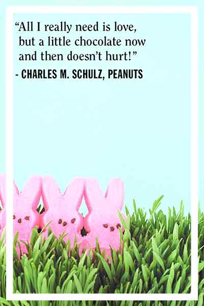 happy-easter-wishes-pink-bunnies-in-the-grass