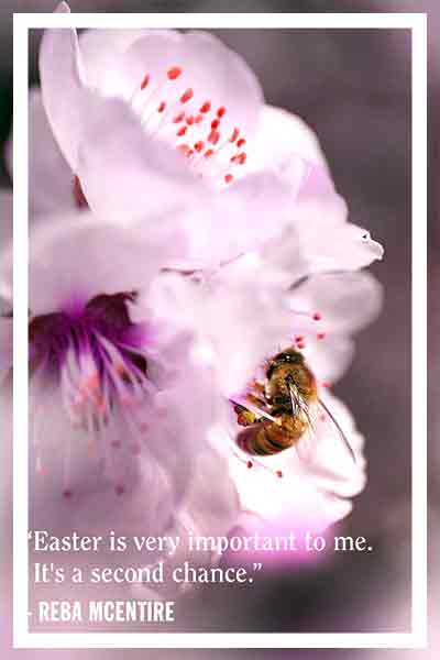 Easter-Sunday-quotes-bee-flower-nectar
