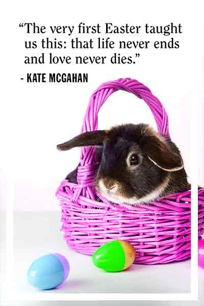 May Easter bunny get you lots and lots of presents. Enjoy the season of Easter eggs and bonnet hats.” Have a Happy Easter. easter-blessings-images-bunny-inside-purple-basket