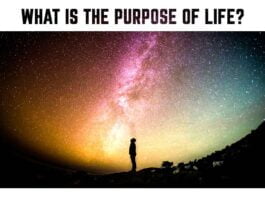 What-is-the-purpose-of-life-motivational-quote-about-life-night-sky-stars-universe