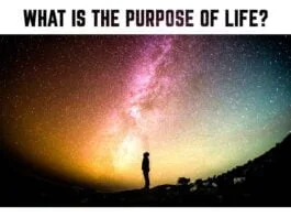 What-is-the-purpose-of-life-motivational-quote-about-life-night-sky-stars-universe