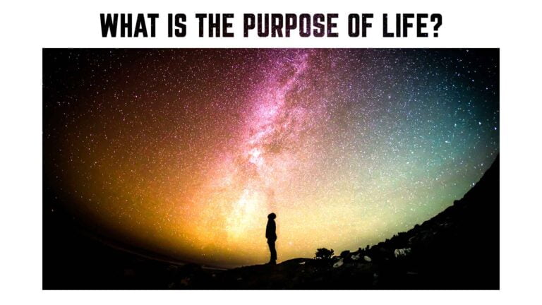 What Is The Purpose of Life? Does it Really Exist? Motivational Quote.