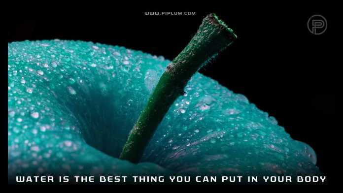 Water is the best thing you can put in your body. You can not only drink it, but also eat it. Inspirational quote. Water-is-the-best-thing-you-can-put-in-your-body-You-can-not-only-drink-it-but-also-eat-it-Inspirational-quote