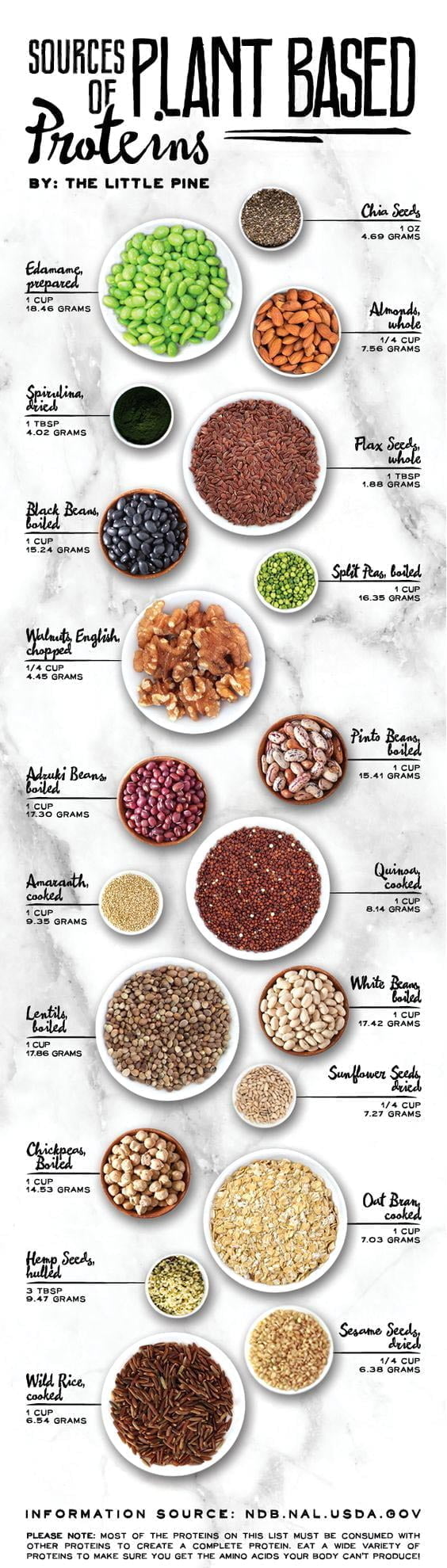 plant based protein for bulking