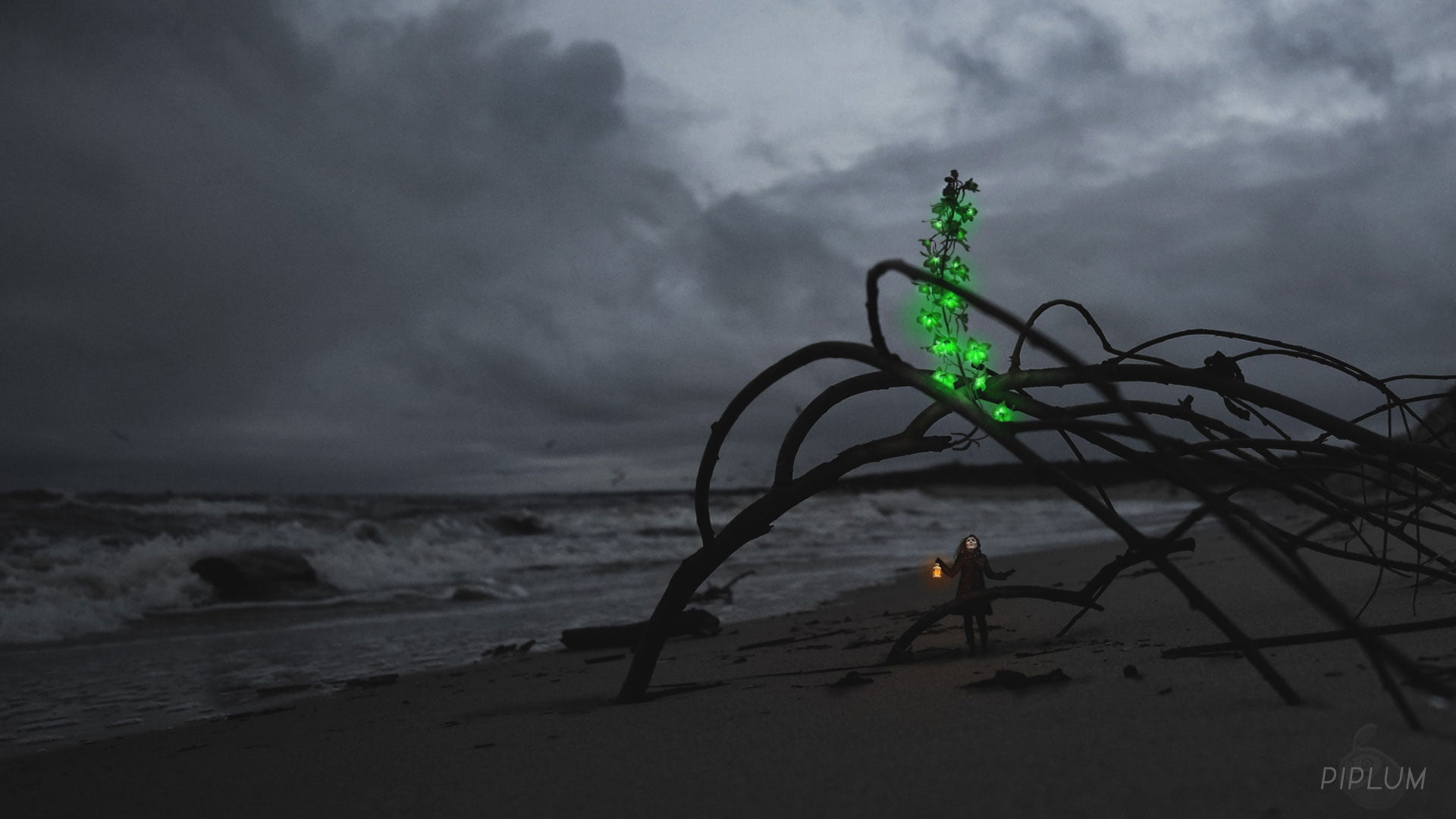 Found-gigantic-green-flower-in-the-beach-surreal-photography.