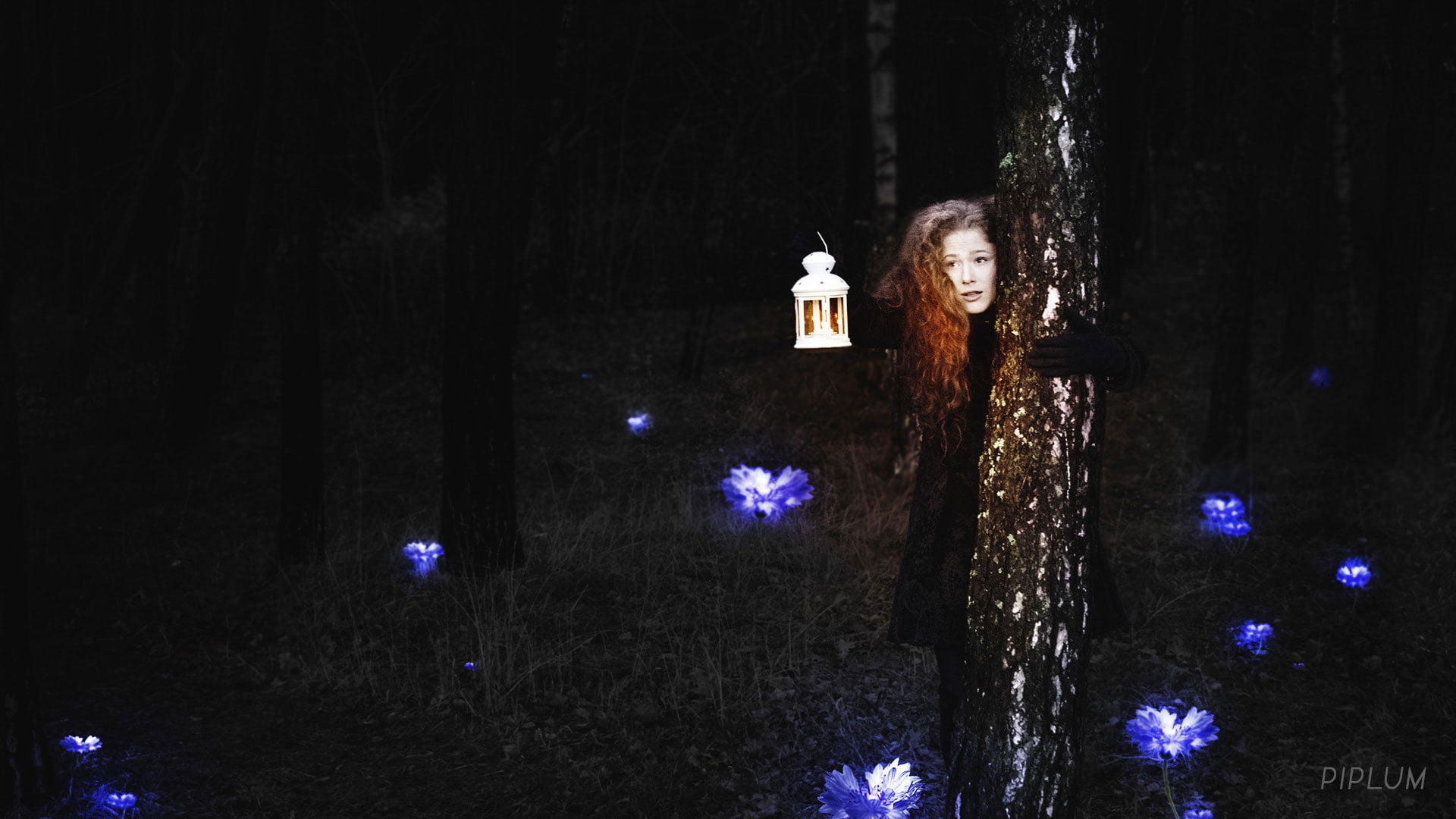 Birch and shinning blue flowers looks like safe place to hide. surreal-world-Forest-in-Palanga-photo-manipulation-Hidding-behind-the-tree-Shinning-blue-flowers-around.