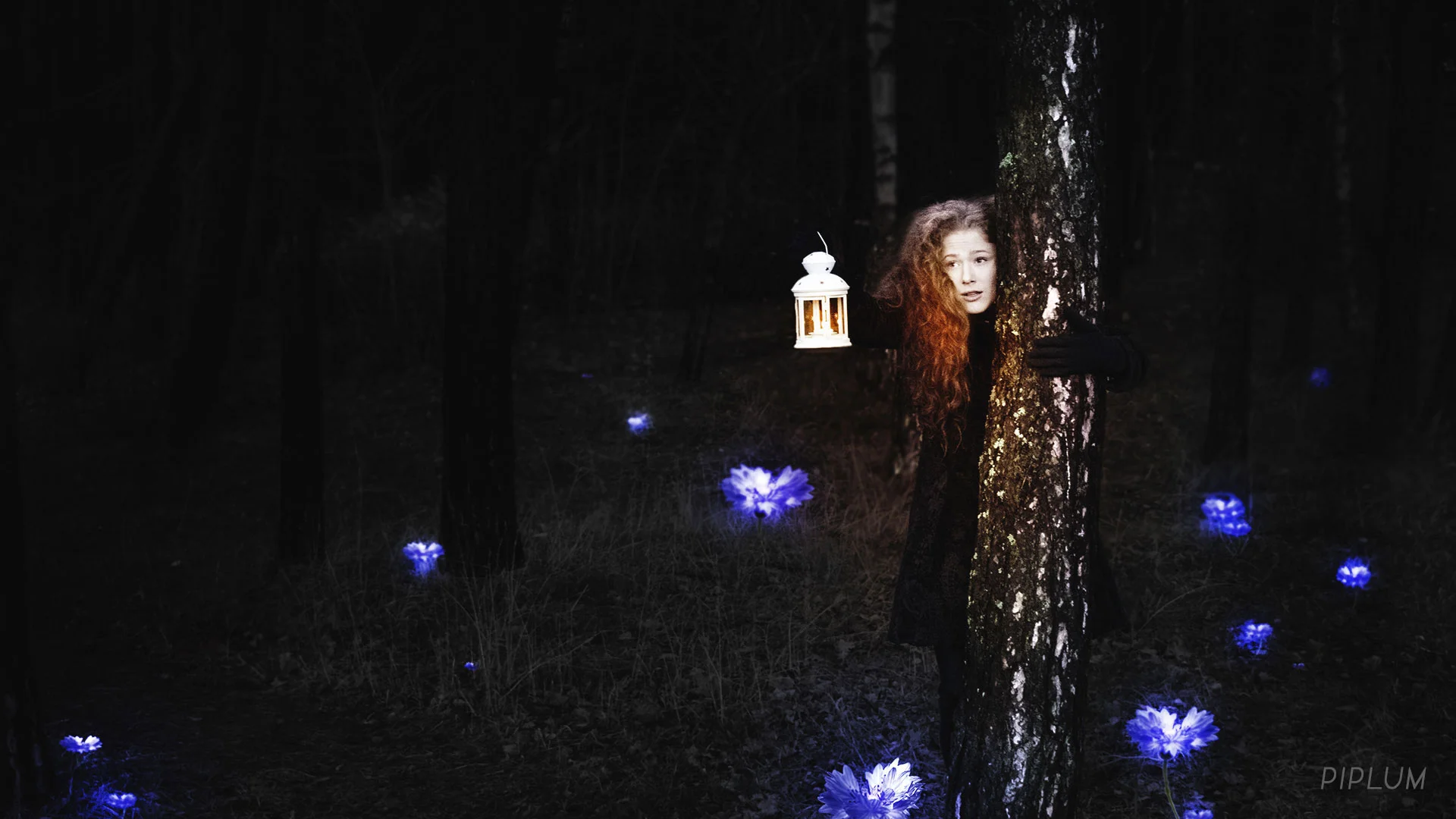 Birch and shinning blue flowers looks like safe place to hide. surreal-world-Forest-in-Palanga-photo-manipulation-Hidding-behind-the-tree-Shinning-blue-flowers-around.