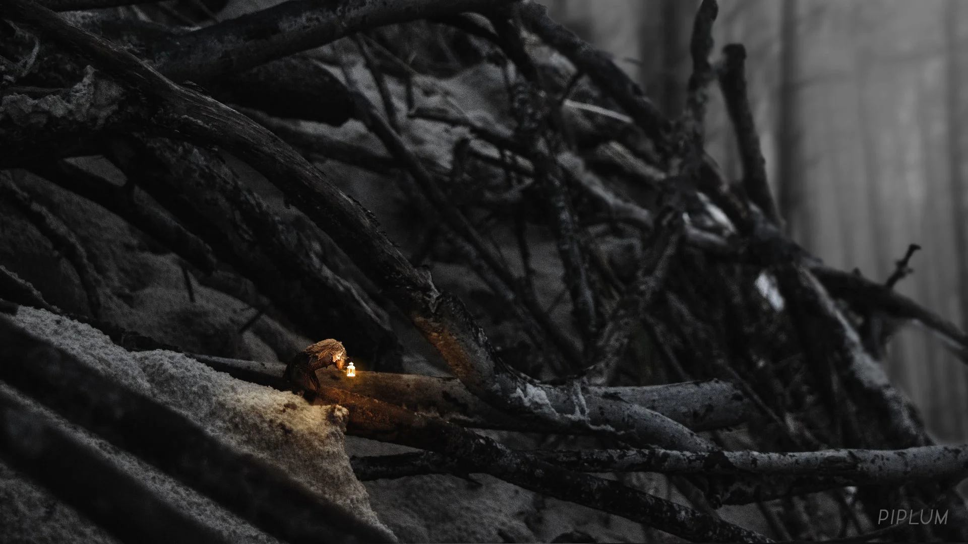 Gigantic trees, maybe nest, maybe roots...Who knows... Palanga. Forest-in-Palanga-Lost-redhead-girl-Into-the-abyss-Mountain-of-dead-trees-Trying-to-shout-out-somebody-photo-manipulation-surreal
