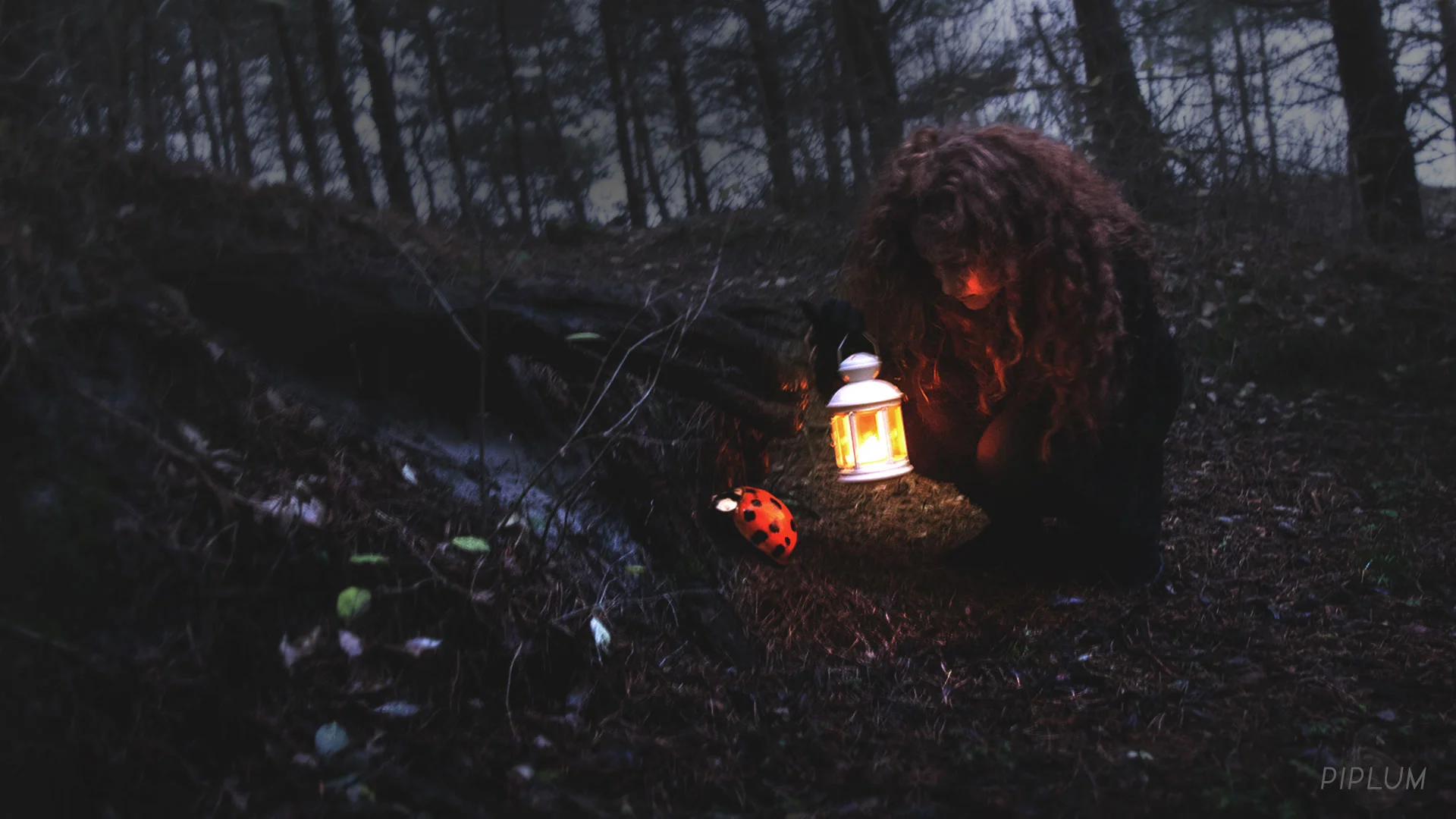 We found a gigantic ladybug resting under the pine roots. You-can-find-gigantic-ladybugs-living-in-Palanga-resting-under-the-pine-roots-photo-manipulation-surreal-misteriuos-forest