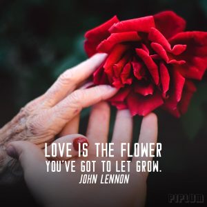 inspirational-Love quote. Young and old women holding the same red rose blossom.