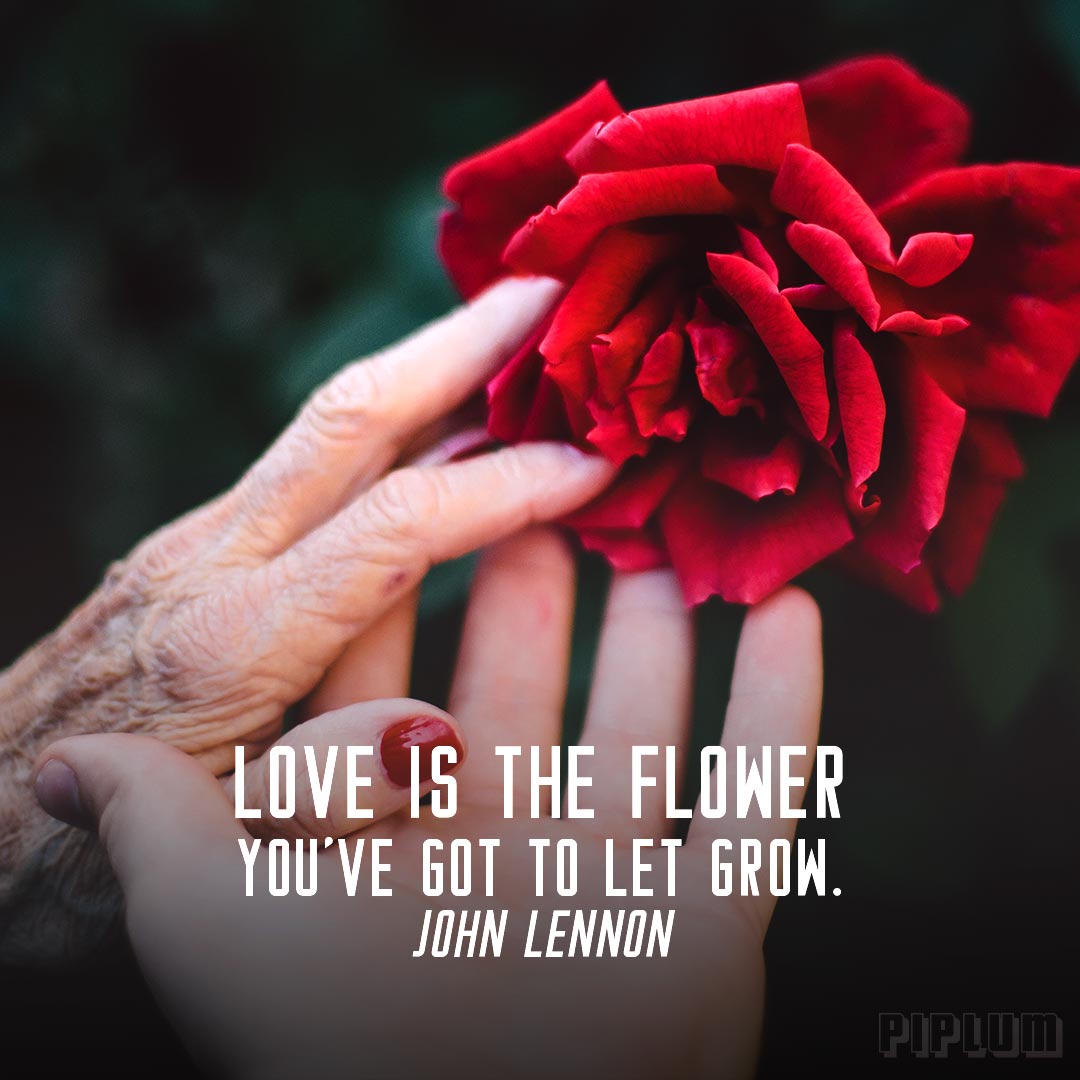 Love is the flower you’ve got to let grow. Quote about love by John Lennon. Love-quote-young-and-old women-holding-the-same-red-rose-blossom