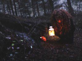 Surrealism-Photography-ladybug-redheat-magic-photomanipulation
