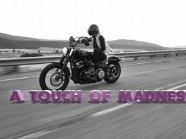 A-touch-of-madness-inspirational-quote-biker-harley-davidson