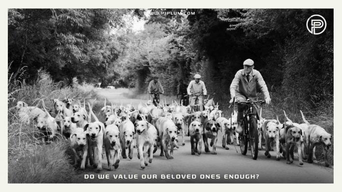 Do-we-value-our-beloved-ones-enough-dog-family-quote
