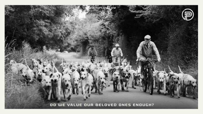 Do we value our beloved ones enough? Family quote. Do-we-value-our-beloved-ones-enough-dog-family-quote