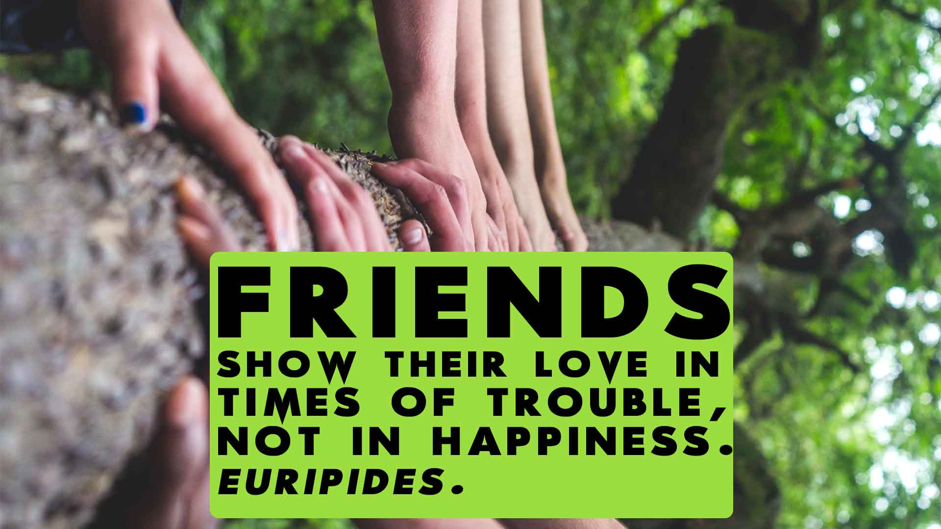 Friends-show-their-love-in-times-of-trouble-not-in-happiness.-Euripide