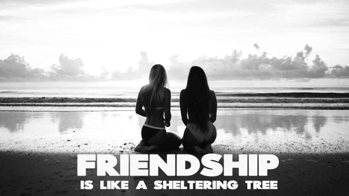 Friendship is a shelter. Inspirational friends quote. Friendship-is-like-a-sheltering-tree.-Inspirational-Friends-Quote.