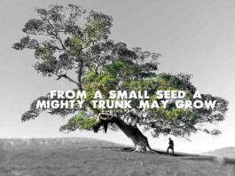 From-a-small-seed-a-mighty-trunk-may-grow-inspirational-quote