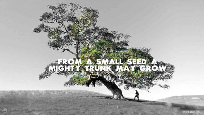 From a small seed a mighty trunk may grow. Inspirational Quote. From-a-small-seed-a-mighty-trunk-may-grow-inspirational-quote
