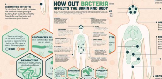 How Gut Bacteria Affects The Brain And Body. [infographic]