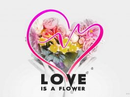Love-is-a-flower-quote