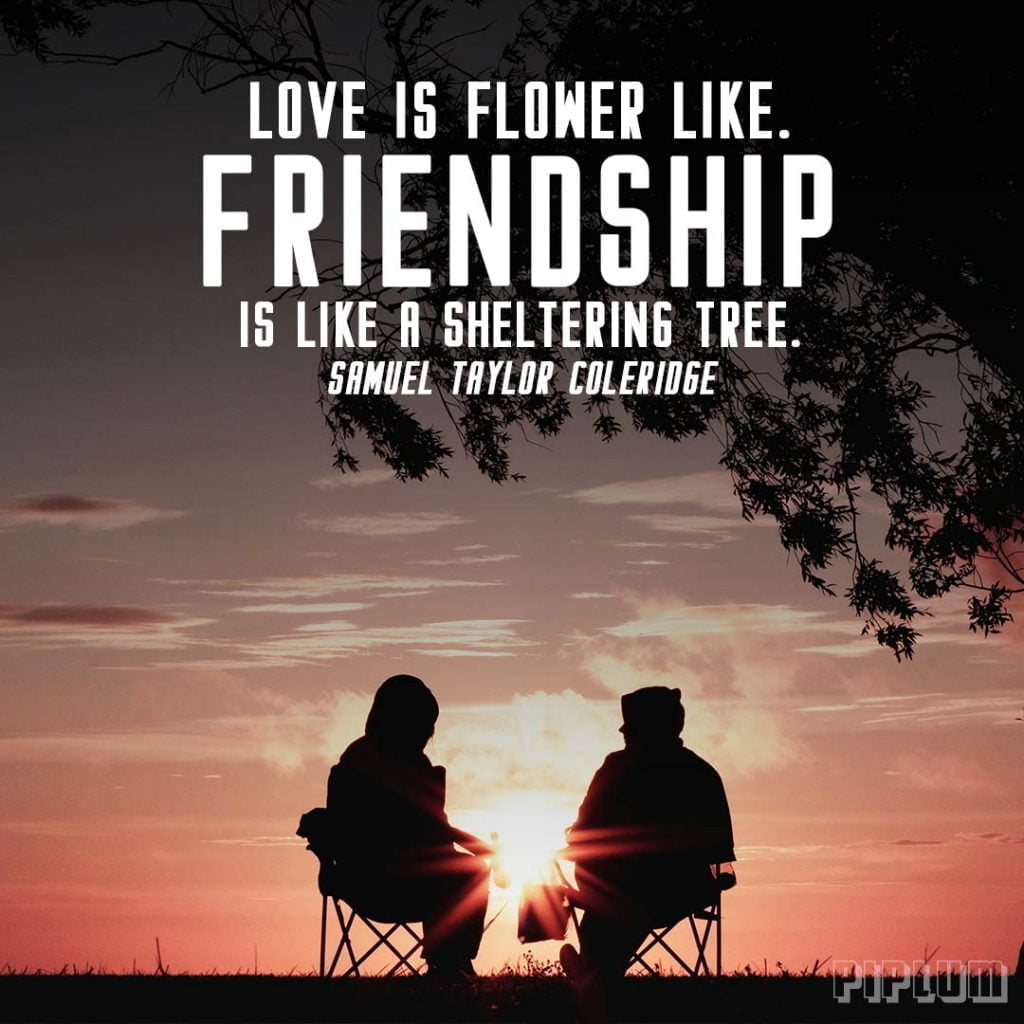 Love is flower-like. Friendship is like a sheltering tree. Samuel