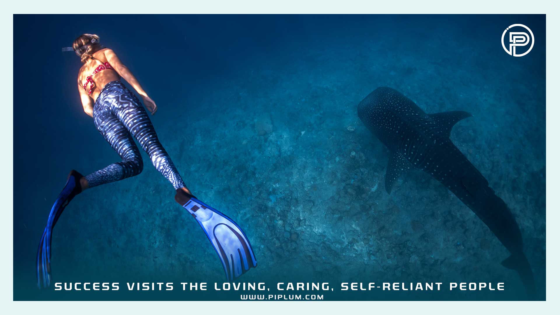 Success visits the loving, caring, self-reliant people. Motivational quote. diving-with-sharks-blue-ocean-Success-visits-the-loving-caring-self-reliant-people-Motivational-quote
