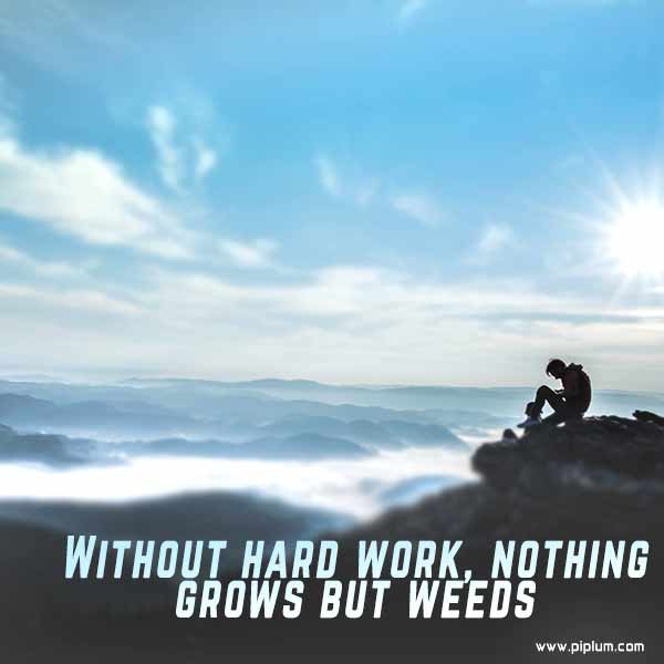 Without hard work, nothing grows but weeds. Inspirational quote. Without-hard-work-nothing-grows-but-weeds-Inspirational-quote
