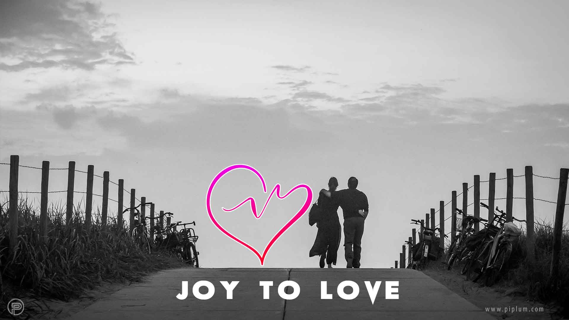 joy-to-true-love-quote