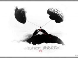 Follow-your-heart-but-take-your-brain-with-you-life-quote