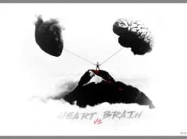 Follow-your-heart-but-take-your-brain-with-you-life-quote