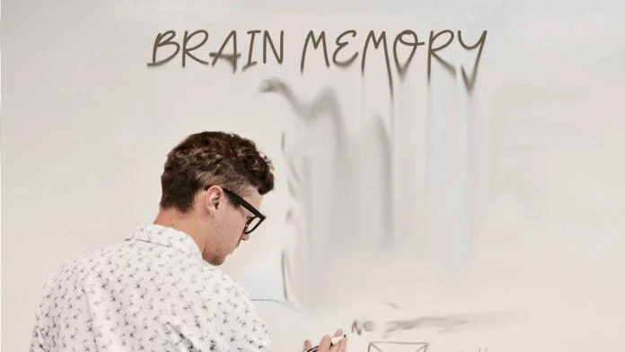 Often forget even recent actions? Consider your toxic habits. brain-memory-how-to-get-super-memory-often-forget-things