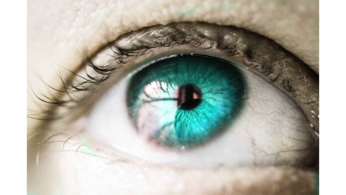 Search Results Featured snippet from the web Eye contact is a powerful stimulator of love and affection. Beautiful-ligt-blue-eyes-motivational-quote-made-by-piplum