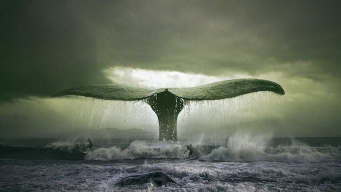 Surfing with whales photo manipulation Surfing-with-whales-photomanipulation-surreal-art-inspirational-quote