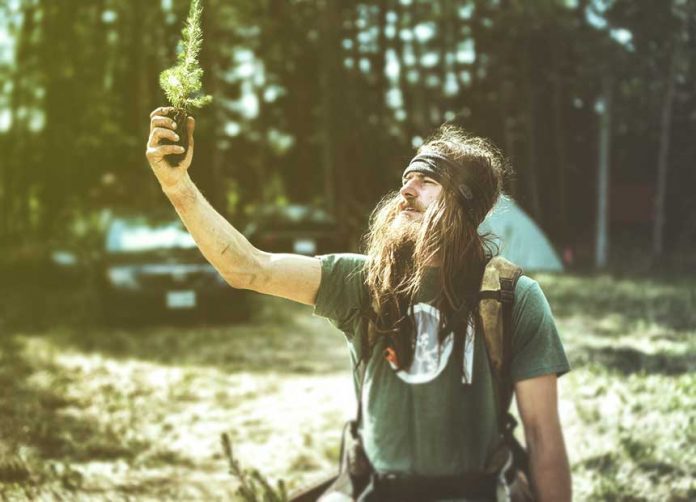 https://www.piplum.com/wp-content/uploads/2018/09/A-tree-planter-finland-696x502.jpg