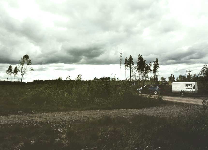 best-planter-car-close-to-the-cultivated-forest-area