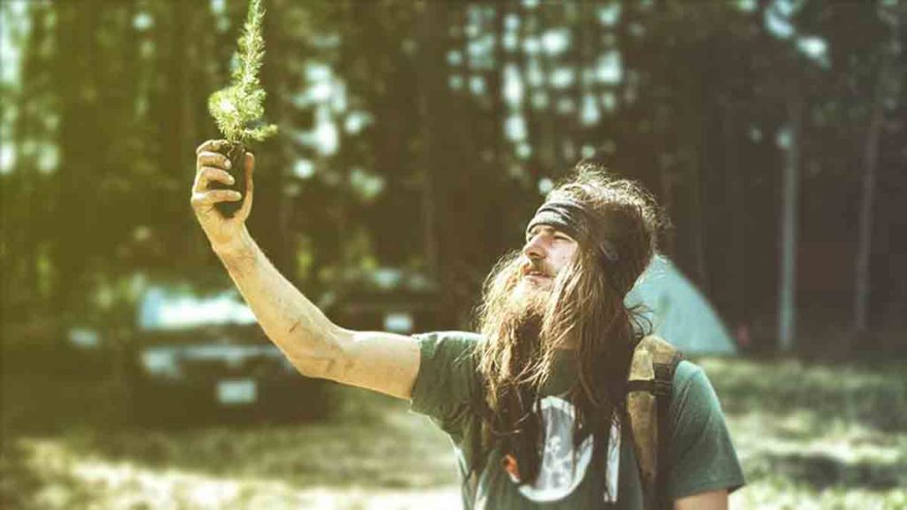 Discover the World of Tree Planting Job. Cleans Mind and Fills Pocket