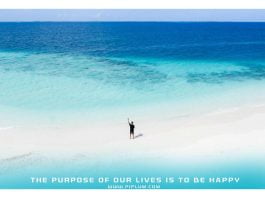 The-purpose-of-our-lives-is-to-be-happy-inspirational-quote-about-life-man-standin-in-ocean-bird-view