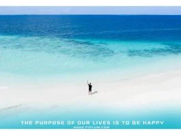 The-purpose-of-our-lives-is-to-be-happy-inspirational-quote-about-life-man-standin-in-ocean-bird-view