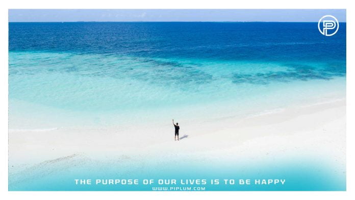 The-purpose-of-our-lives-is-to-be-happy-inspirational-quote-about-life-man-standin-in-ocean-bird-view