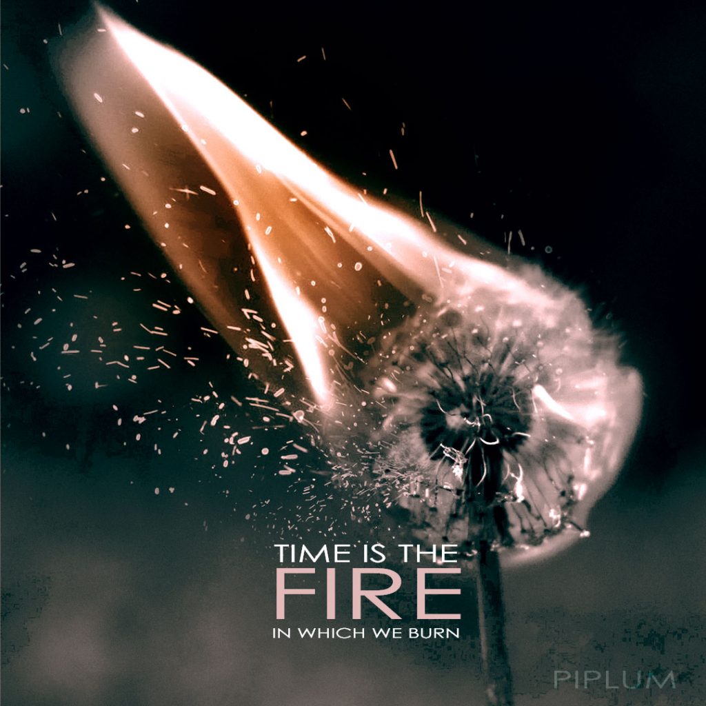 Time is the fire in which we burn. Inspirational quote about the fire. Time-is-the-fire-in-which-we-burn-Fire-Quote.