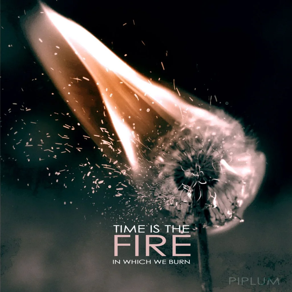 Time is the fire in which we burn. Inspirational quote about the fire. Time-is-the-fire-in-which-we-burn-Fire-Quote.