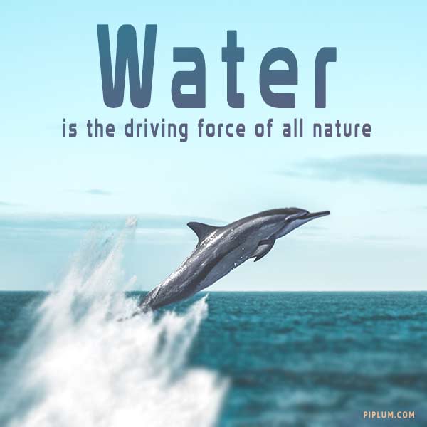 Water-is-the-driving-force-of-all-nature-an-inspirational-quote-for-oceans-and-seas