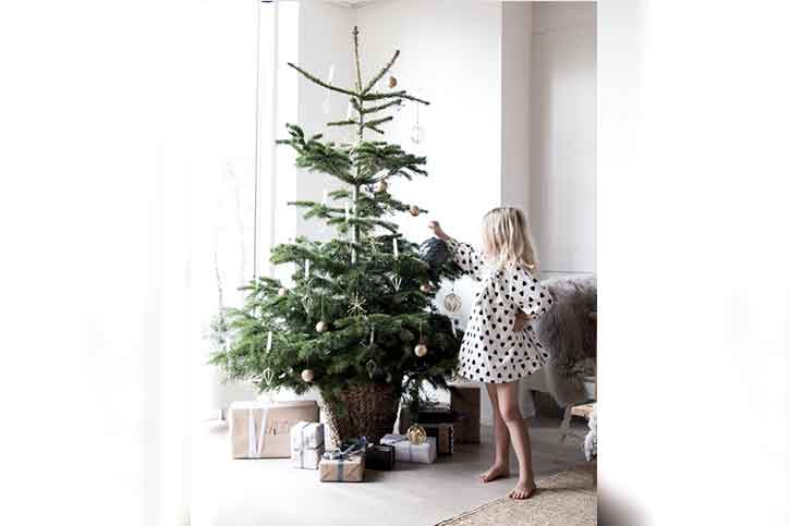 Scandinavian style scandinavian-style-photoshoot-for-christmas