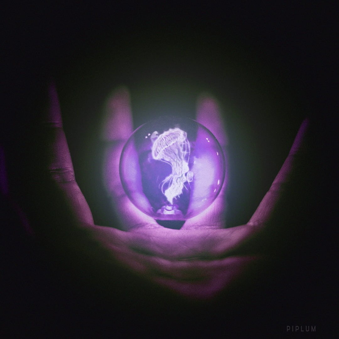  wake up the Creator purple jellyfish photomanipulation
