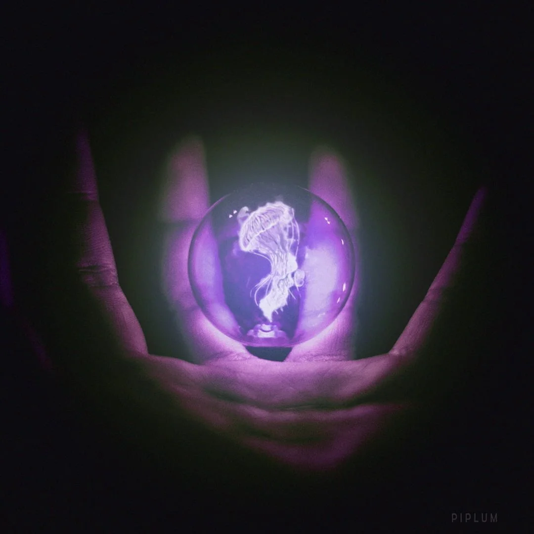 wake up the Creator wake up the Creator purple jellyfish photomanipulation