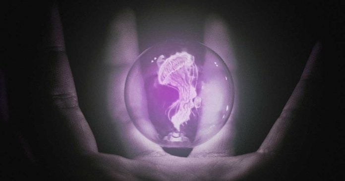 jellyfish-photomanipulation jellyfish-photomanipulation