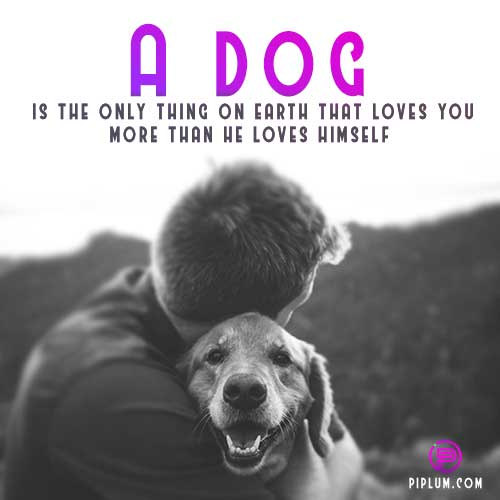 A dog is the only thing on earth that loves you more than he loves himself. Friendship quote. quote-dog-is-the-only-thing-on-earth-that-loves-you-more-than-himself