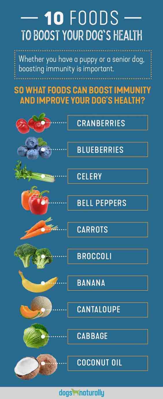 Take Care Of Your Puppies A List Of Toxic Foods For Dogs Poster toxic-foods-for-dogs-printable